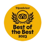 tripadvisor awards (1)