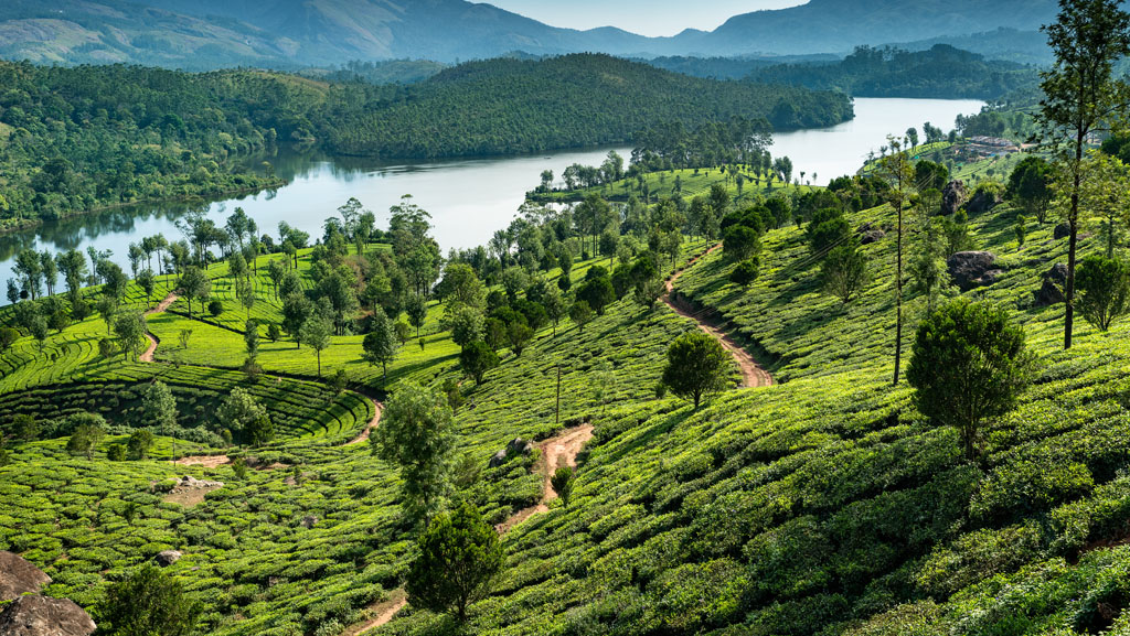 Kerala-Blis-3-Nights-4-Days4