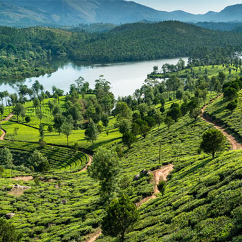 Kerala-Tour