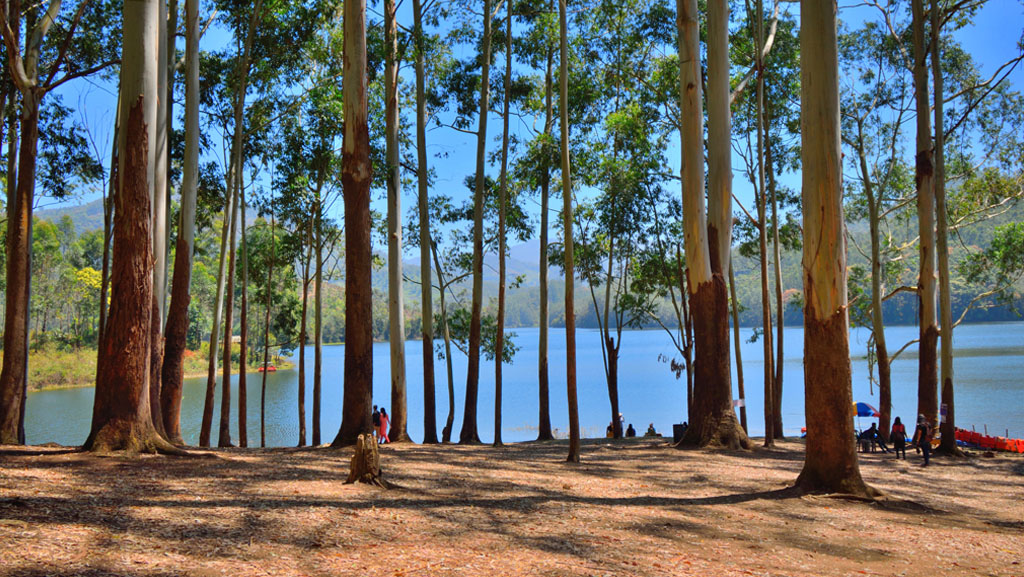 kundala-lake-munnar