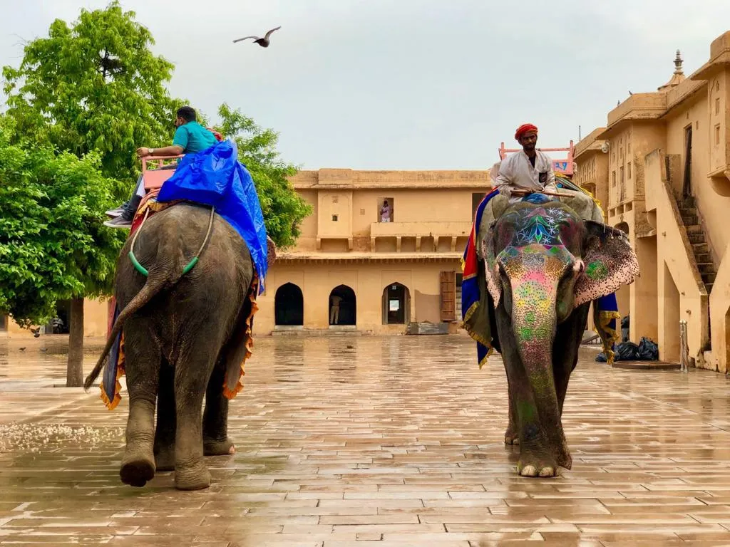 Amber Fort Jaipur — Golden Triangle tour