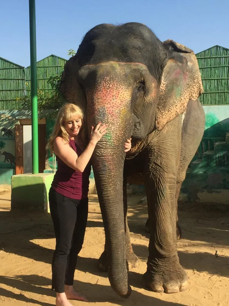Wildlife SOS Agra bear sanctuary tour
